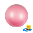 Anti Burst Soft PVC 45 55 65 75cm ยิมโยคะบอลอุปกรณ์ออกกำลังกายยิมบอล