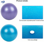 ยิม phthalate ฟรี PVC Back Muscle Relax Ball Pump 65cm 95cm Anti Burst